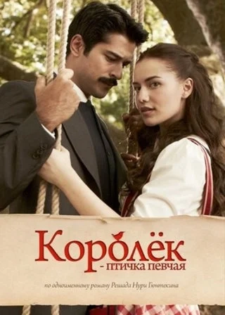 Королек - птичка певчая (2013-2014) Королек - птичка певчая
