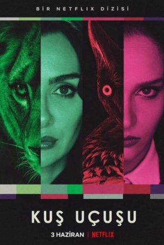 Полёт птицы (2022) Полёт птицы