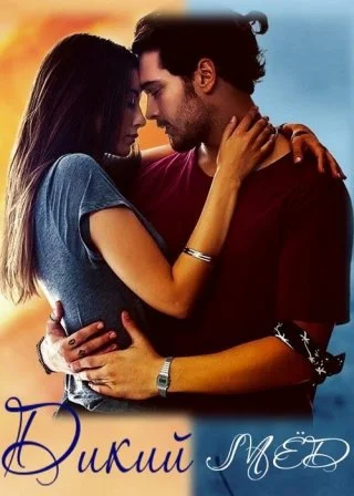 Дикий мёд (2015) Дикий мёд / Delibal