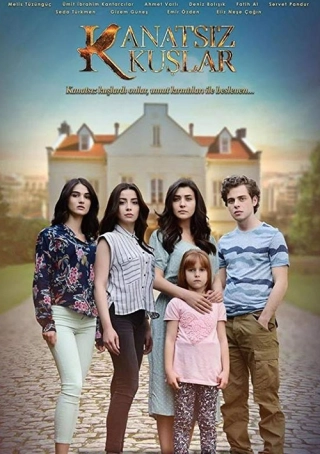 Птицы без крыльев/Бескрылые птицы (2017-2018) Птицы без крыльев/Бескрылые птицы