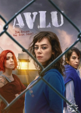 Дворик (2018-2019) Дворик