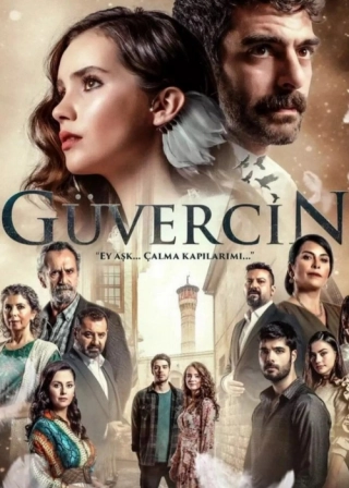 Голубка (2019-2020) Голубка