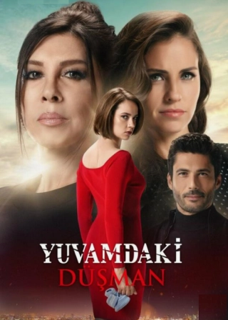 Враг в моем доме (2018) Враг в моем доме