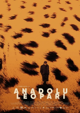 Анатолийский леопард (2021) Анатолийский леопард