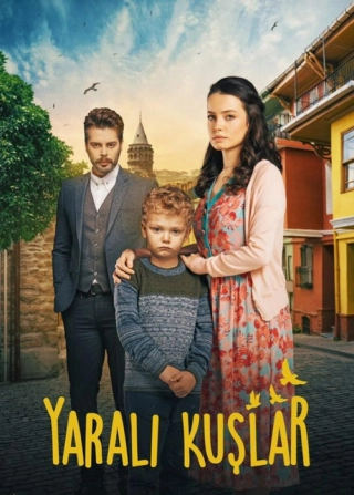 Раненые птицы (2019) Раненые птицы