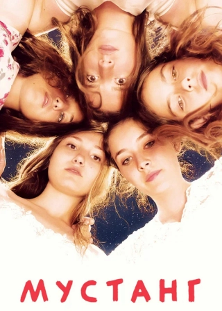 Мустанг (2015) Мустанг