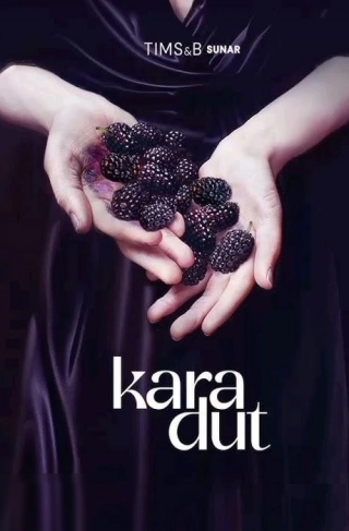 Черная шелковица (2024) Черная шелковица