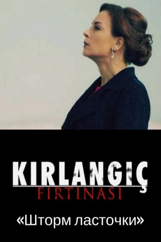 Шторм ласточки (2017) Шторм ласточки