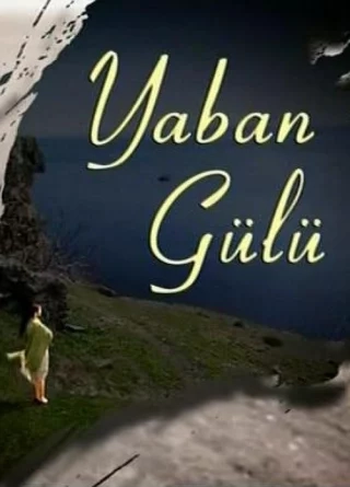 Дикая роза (2008) Дикая роза