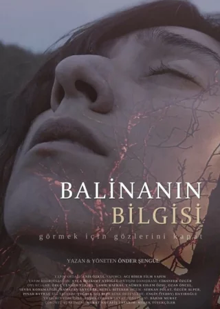 Мудрость кита (2024) Мудрость кита